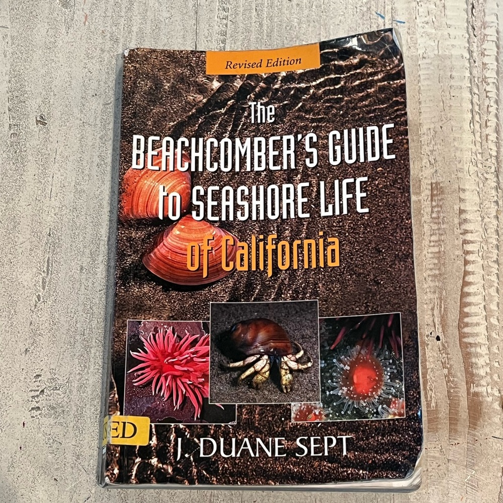 USED The Beachcomber’s Guide to Seashore Life revised edition by J. Duane Sept